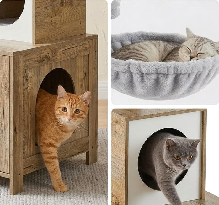 Arbre à chat de luxe multi-niveaux