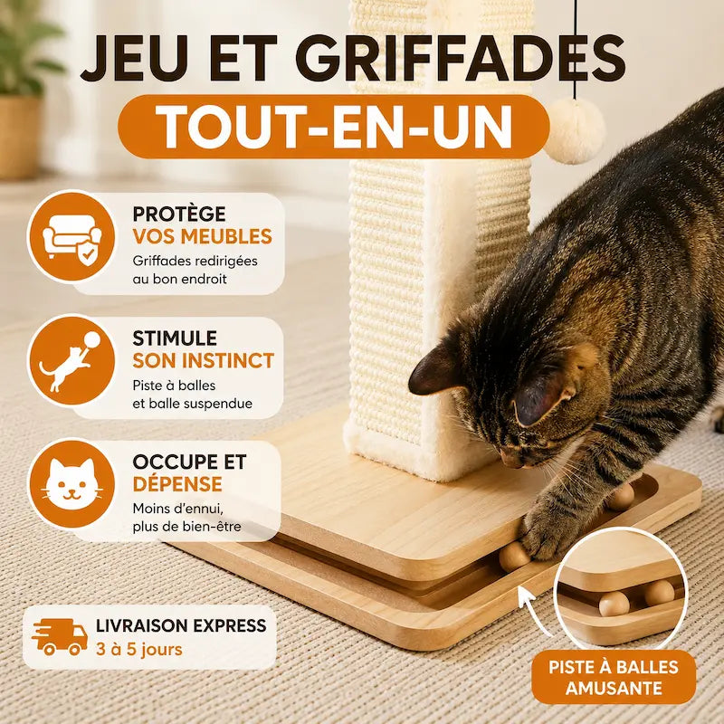 Griffoir chat avec piste à balles - Protège vos meubles | Grifoo
