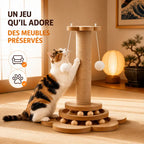 Griffoir chat plateau tournant – Protège | SpinScratch