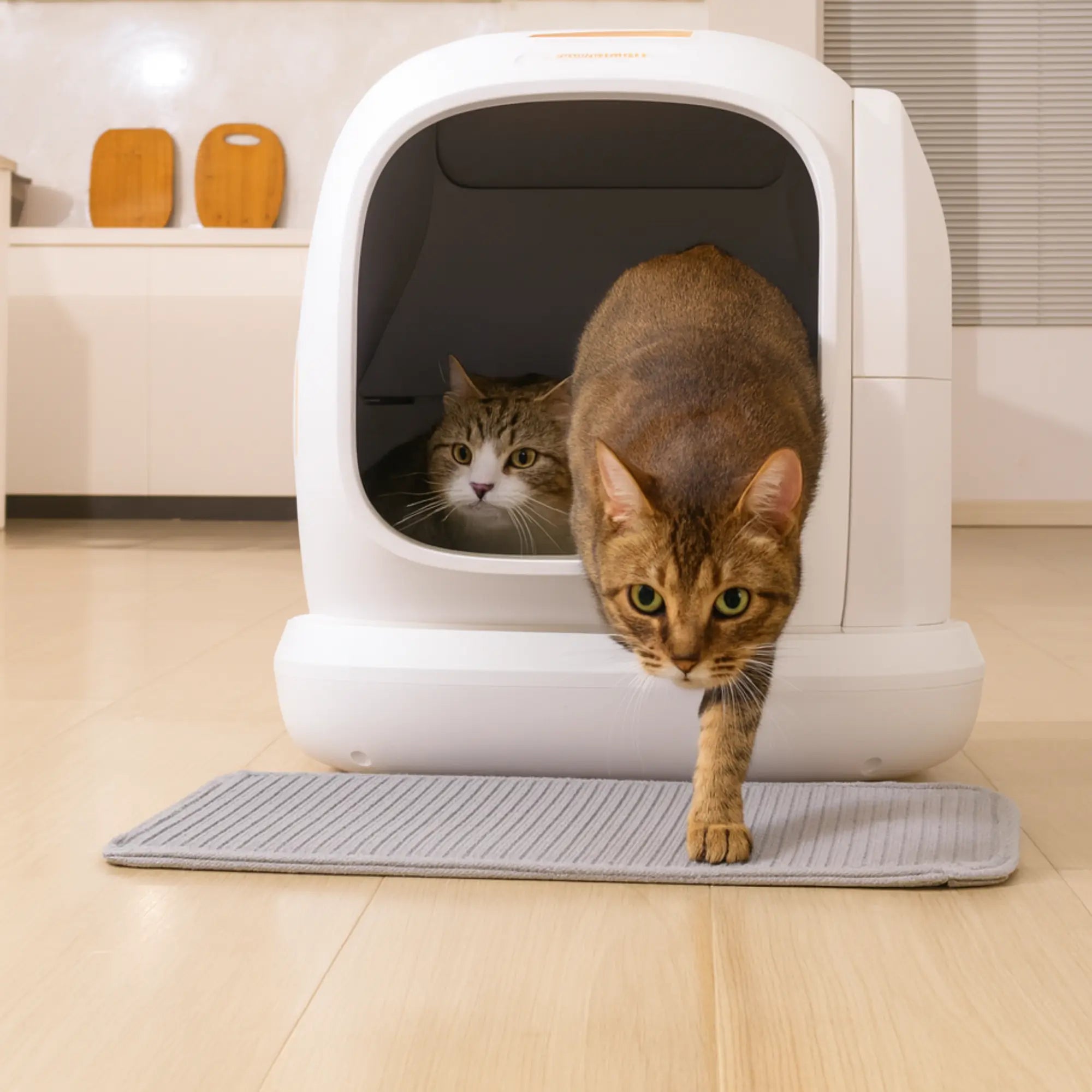 Litière Autonettoyante Automatique Connectée pour Chat CatHaven – Bac fermé avec capteurs