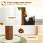 Griffoir chat palmier en sisal - Protège | FéliPalm
