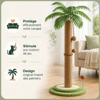 Griffoir chat palmier en sisal - Protège | FéliPalm