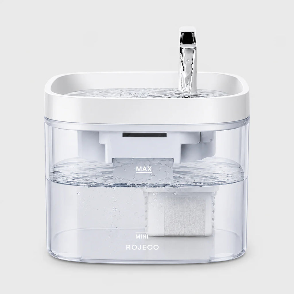 Fontaine à Eau Transparente et Intelligente 1,5L