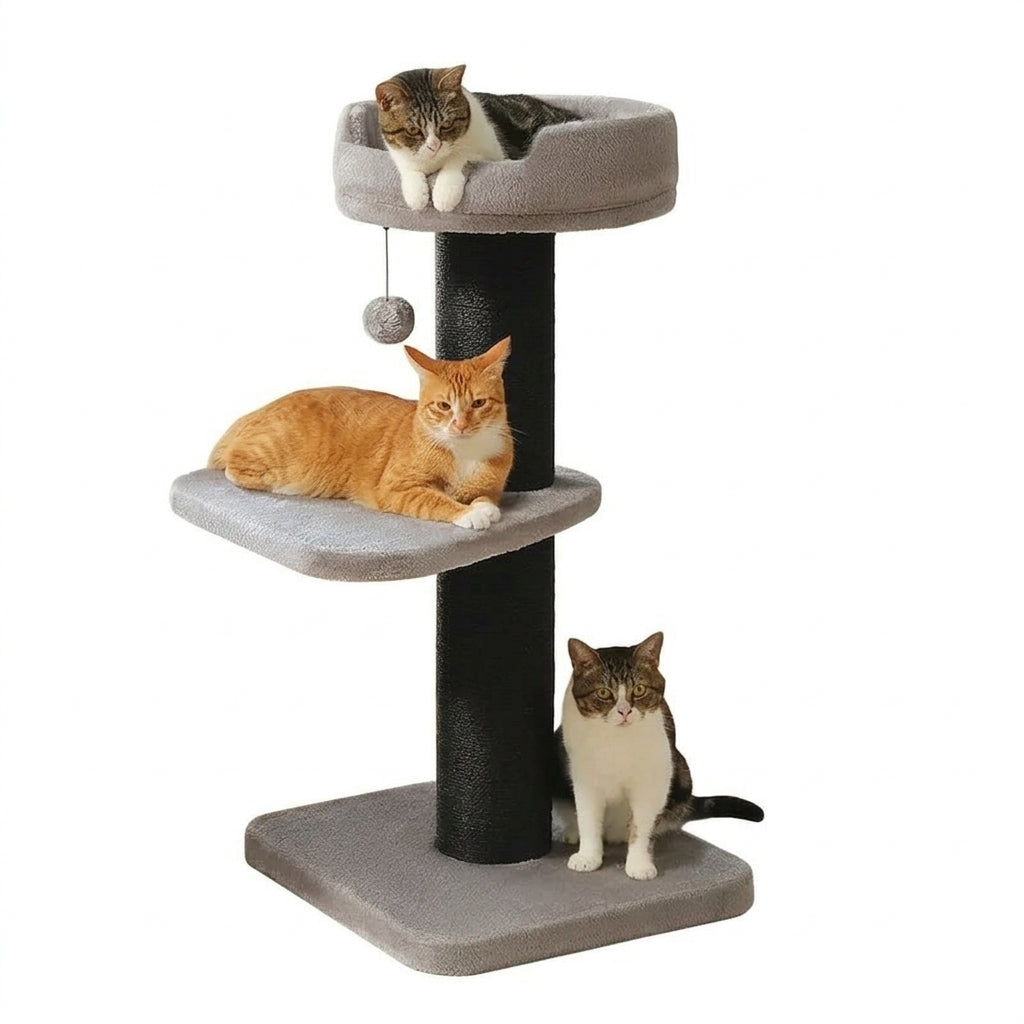 Arbre à Chat avec Griffoir Surdimensionné | CatHaven