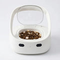 Distributeur Croquettes Multi-Animaux | CatHaven