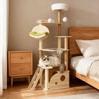 Petit Arbre à Chat d'Intérieur en Bois | CatHaven