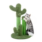 Griffoir Chat Cactus, Design Ludique | CatHaven