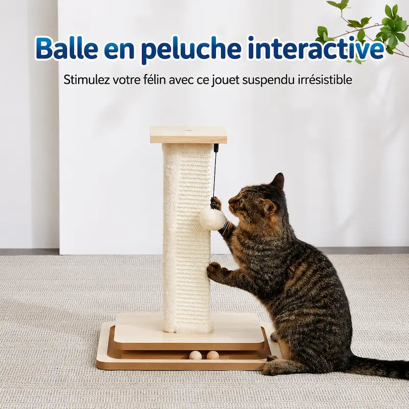 Griffoir chat avec piste à balles - Protège vos meubles | Grifoo