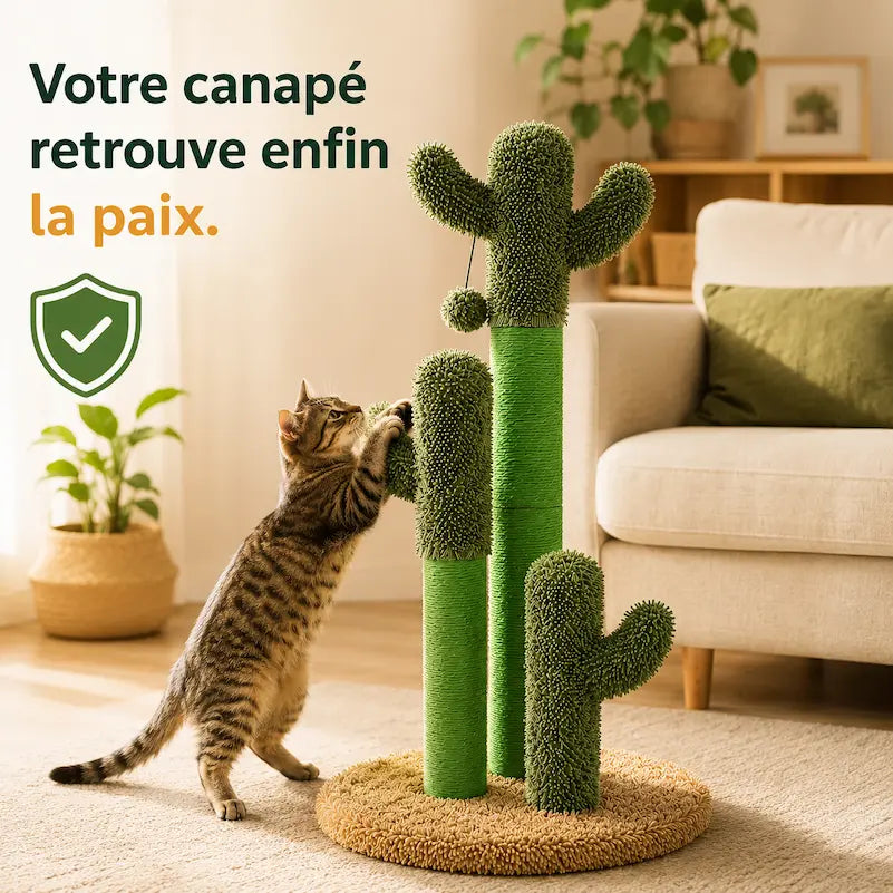 Griffoir chat 3 cactus - Protège vos meubles | CactiCat