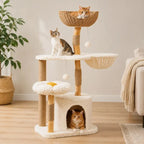Arbre à chat bois massif avec condo - Confort | Felys