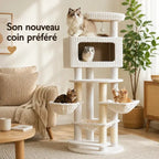 Arbre à chat condo spacieux - Confort XXL | Feliora