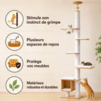 Arbre à chat du sol au plafond - Stable | CatVera