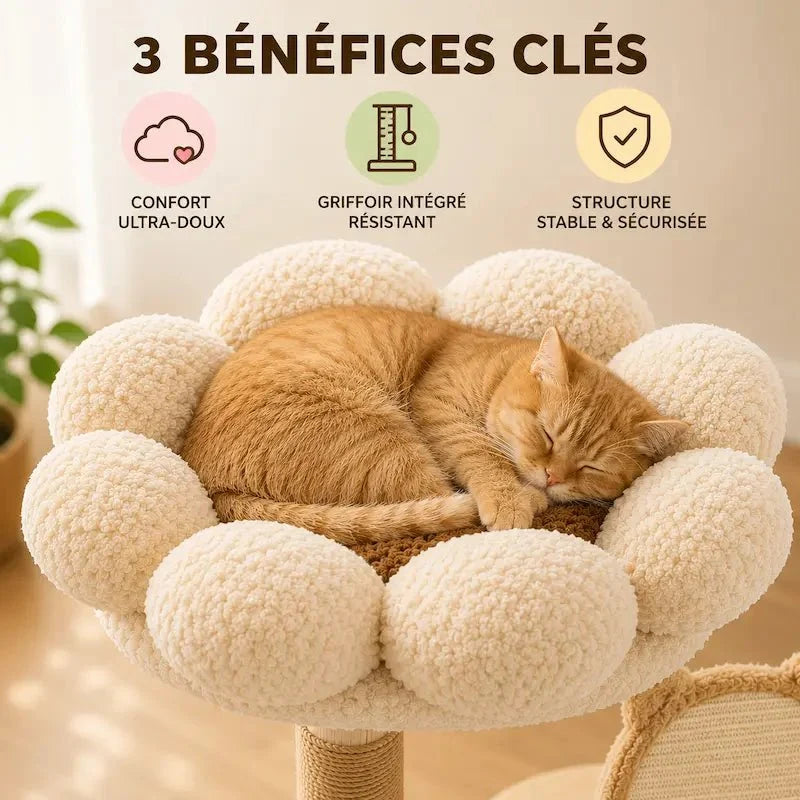 Arbre à chat floral en bois massif - Design | FloraNest
