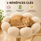 Arbre à chat floral en bois massif - Design | FloraNest