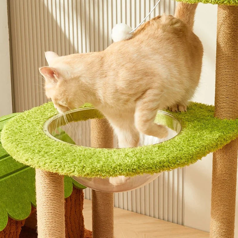 Arbre à chat Jungle Paradis - Multi-niveaux | Nekko