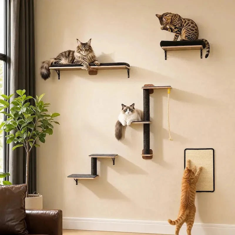 Arbre à chat mural 5-en-1 - Gain de place | PurrHouse
