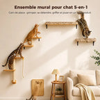 Arbre à chat mural 5-en-1 - Gain de place | PurrHouse