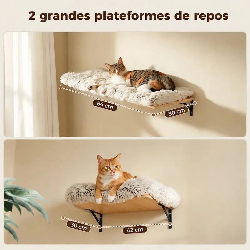Arbre à chat mural 5-en-1 - Gain de place | PurrHouse