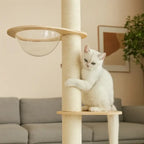 Arbre à chat plafond réglable - Stable sans perçage | Mewparnasse