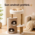 Arbre à chat tronc d'arbre - Design compact | Luna