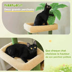 Arbre à chat XXL multi-niveaux - Ultra stable | FeliHome