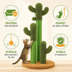 Griffoir chat 3 cactus - Protège vos meubles | CactiCat