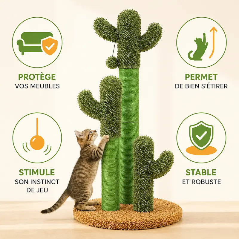 Griffoir chat 3 cactus - Protège vos meubles | CactiCat