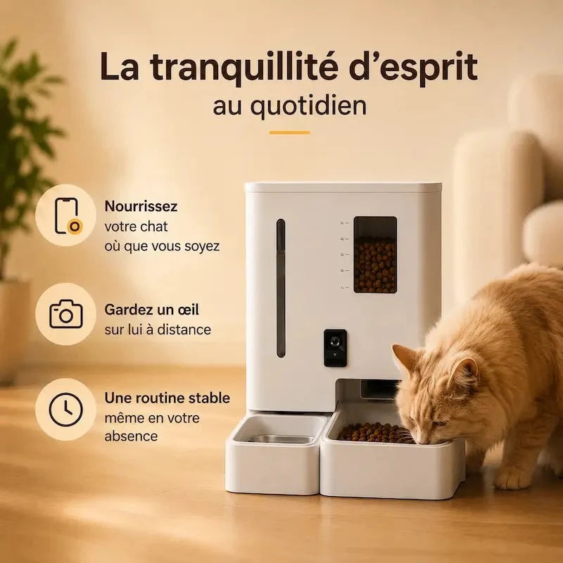 Distributeur automatique eau et croquettes chat - Contrôle à distance | FeedPro