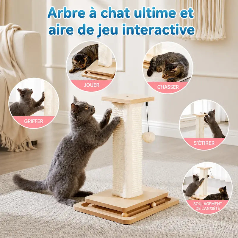 Griffoir chat avec piste à balles - Protège vos meubles | Grifoo