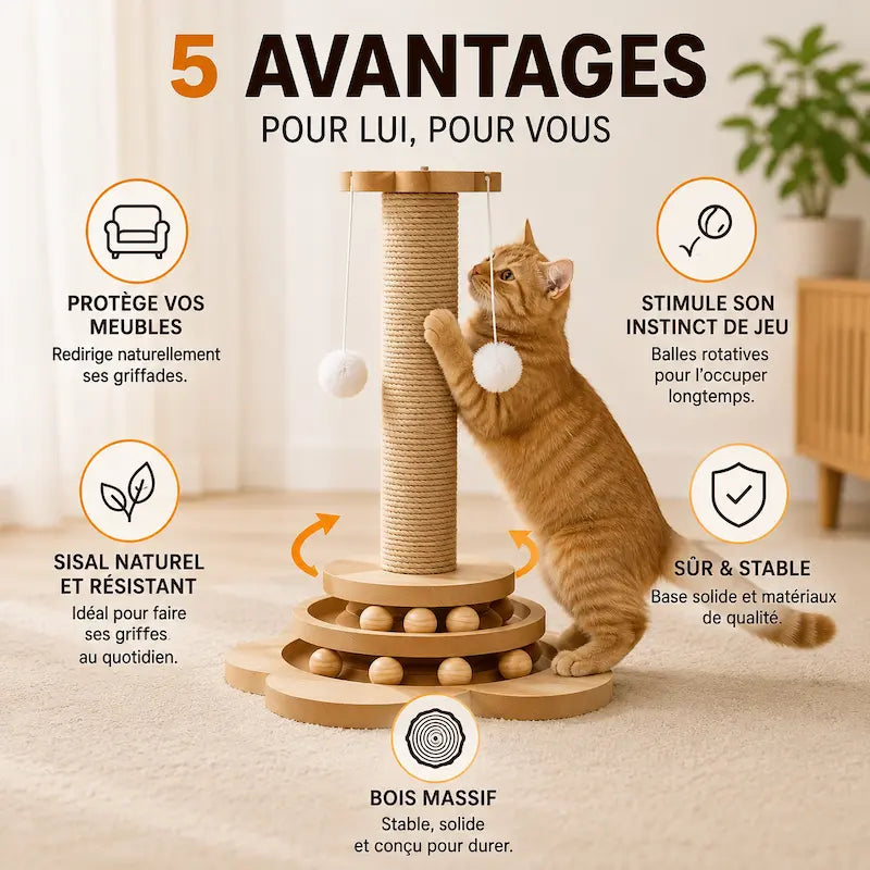 Griffoir chat plateau tournant – Protège | SpinScratch