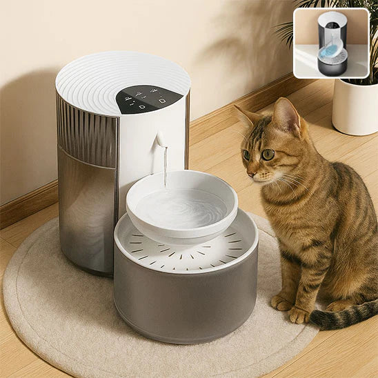 Fontaine à Eau pour Chats et Petits Chat 3000 ML