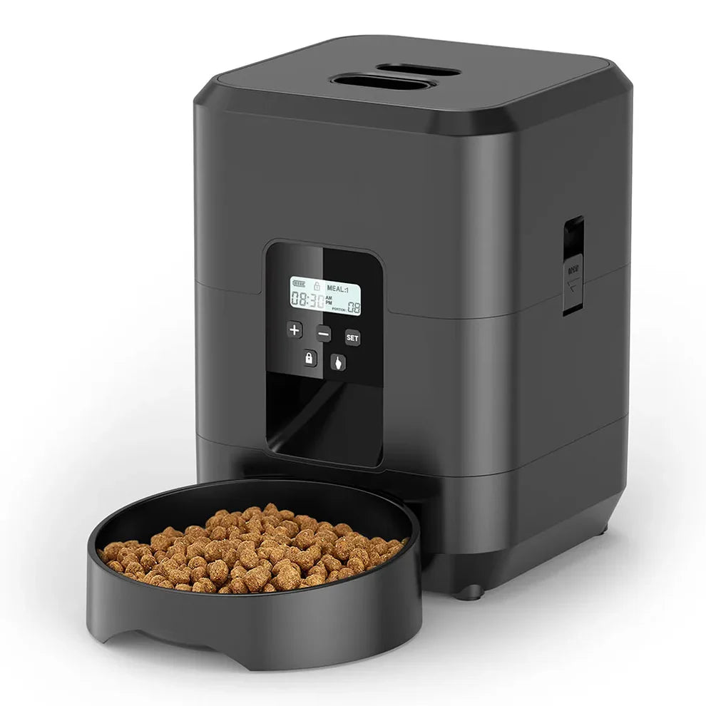 Distributeur Automatique de Croquettes pour Chat | CatHaven
