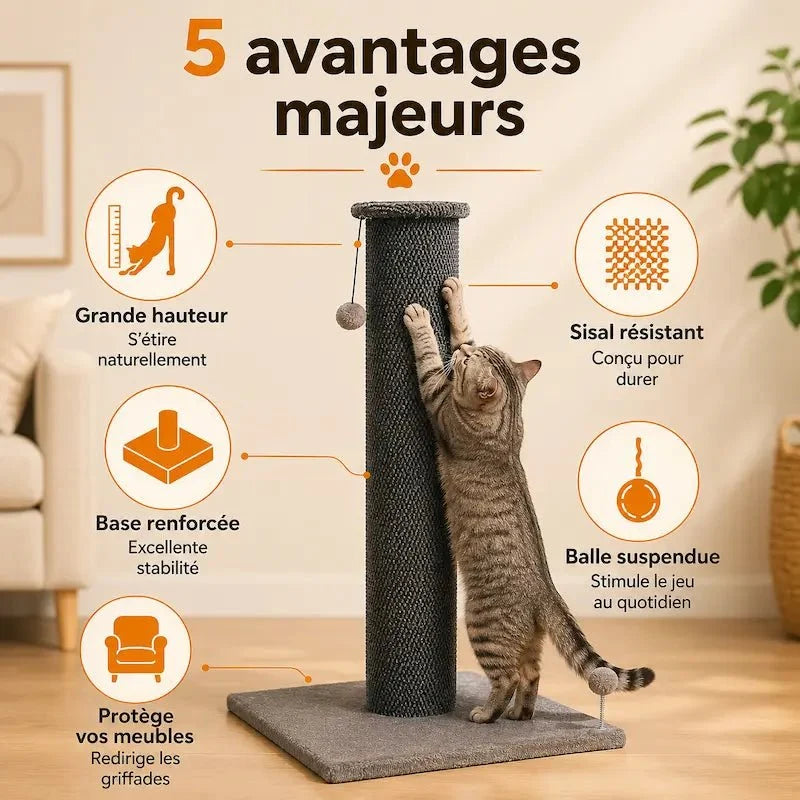 Griffoir chat de grande taille - Protège vos meubles | FeliPower