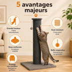 Griffoir chat de grande taille - Protège vos meubles | FeliPower